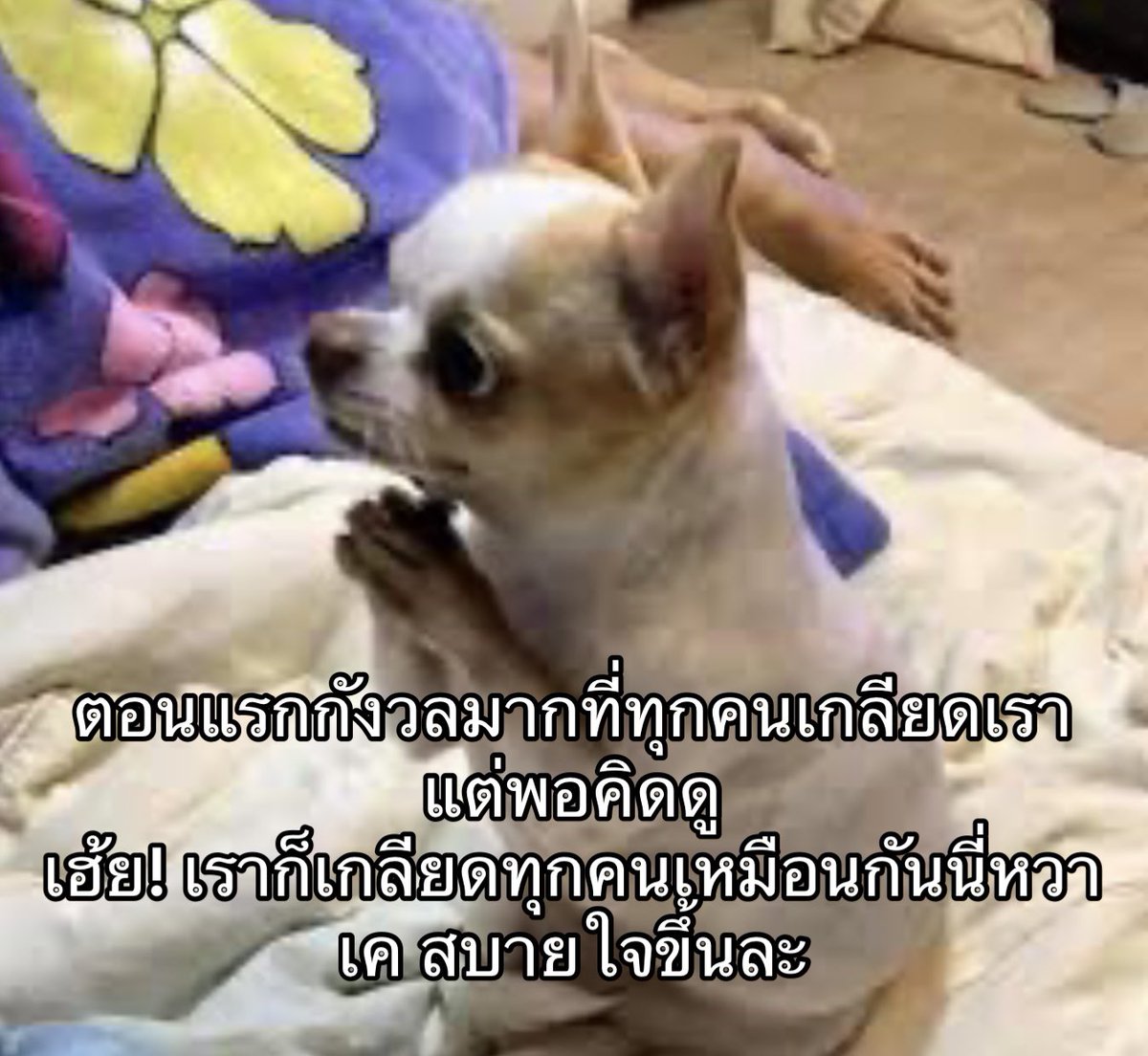 IMeSayIt's tweet photo. สบายใจละ https://t.co/vaLKVZ4S2Z