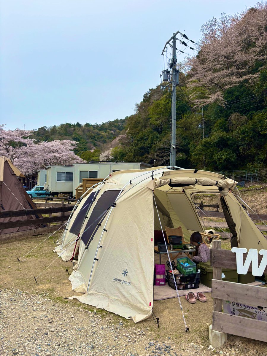 everyyuyuki's tweet photo. みなさんお久しぶりです！
桜満開の春キャンプ開始🏕️ https://t.co/vjLA3cKr7F