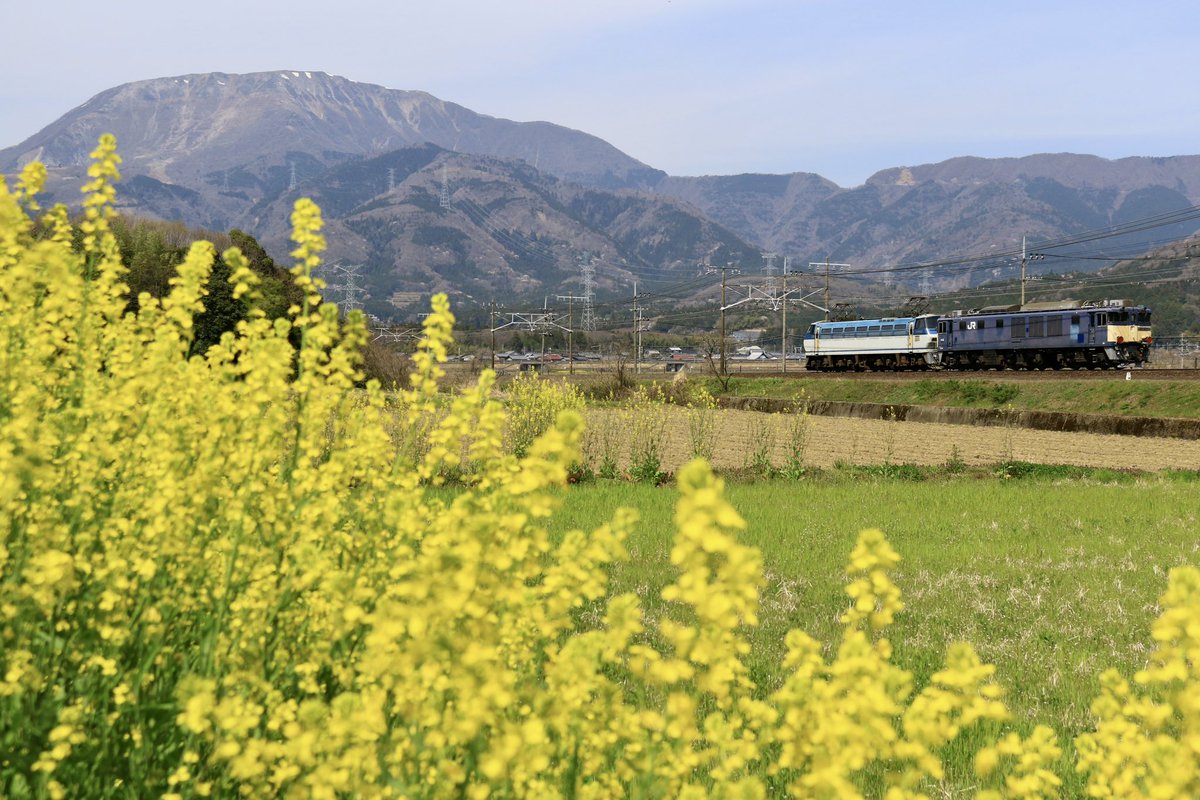 jiro29992718's tweet photo. 昨日撮影より。京都駅での不審物のお陰で3094レ、DEC、は撮り逃しましたが、ひだの回送、8865レ、ディズニー新幹線、ドクターイエローと撮影して来ました。 https://t.co/EmW1jm239u