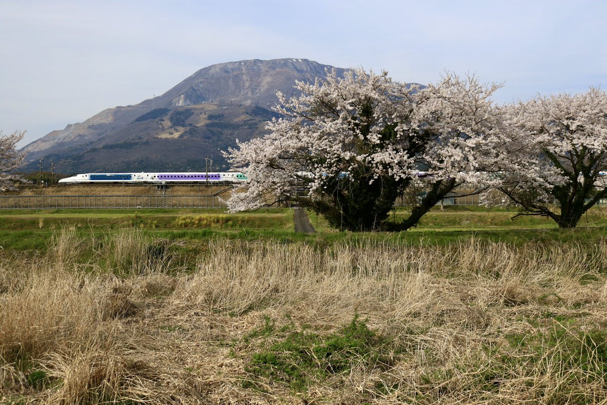jiro29992718's tweet photo. 昨日撮影より。京都駅での不審物のお陰で3094レ、DEC、は撮り逃しましたが、ひだの回送、8865レ、ディズニー新幹線、ドクターイエローと撮影して来ました。 https://t.co/EmW1jm239u