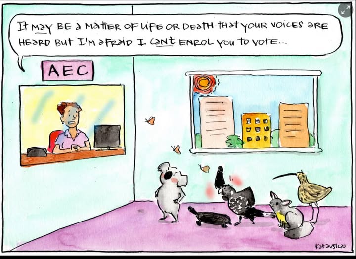 I have authored so much Animal welfare policy, and I will always be a strong voice for Animal welfare, elected or not, but as the Makin candidate for TOP, you can be assured they will all have a realistic and educated voice.