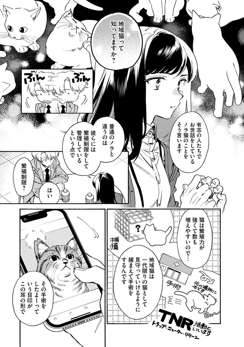 (8/14) 