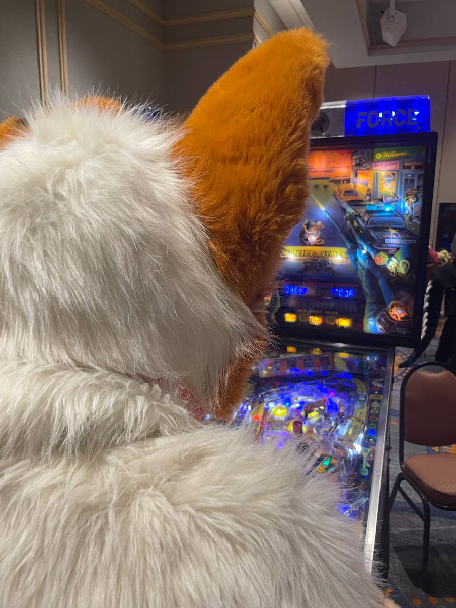 Dawwww the Pinball Wizard of Furcationland!! Thankies to <a href="/Twilight_Husky/">Paradox “Twilight” Husky</a> for the pictures! 
✂️: <a href="/MadeFurYou/">@madefuryou.com on BSKY</a>