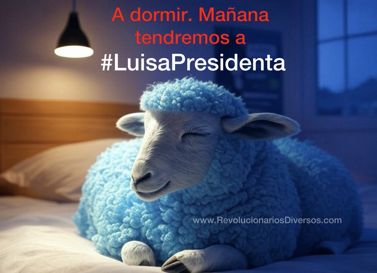 CRCDiversos's tweet photo. A dormir! Mañana tendremos a @LuisaGonzalezEc https://t.co/ldX0Bj4DIv