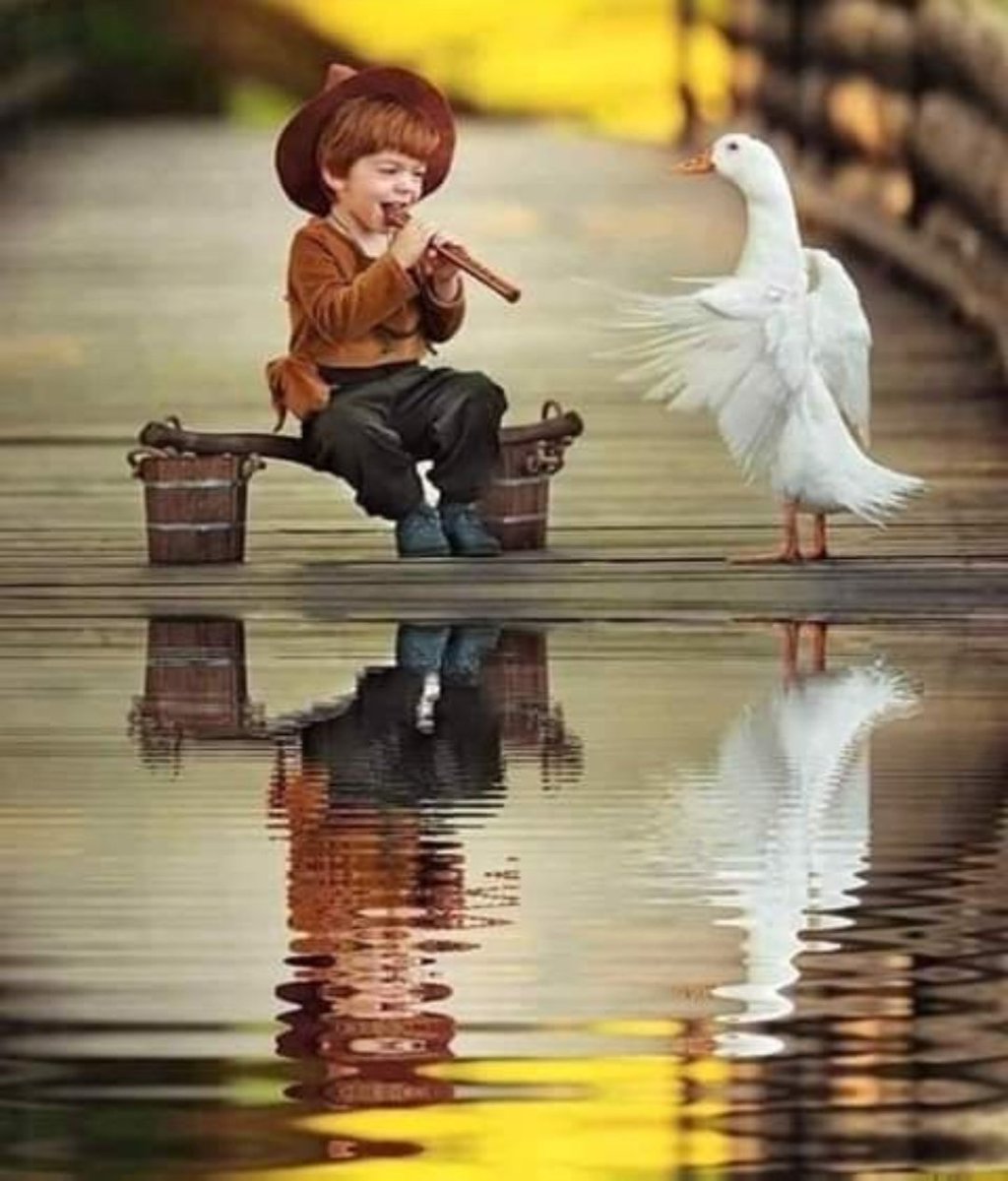 aboafrah96's tweet photo. ليس عليك أن ترد الجميل..
ولكن كن أرقى من أن تنكره https://t.co/8cTUURZKCN