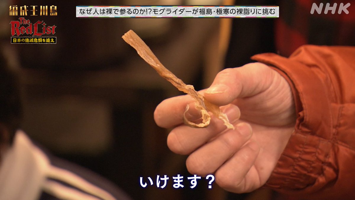 nhk_henseio's tweet photo. 👑#編成王川島 見逃し配信中📱👇
🔗https://t.co/0bDg4izP8m
#2『🦣#TheRedList 日本の絶滅危惧を追え』名場面
裸詣りの前不安がっていた #芝大輔 さん🦑
この後川島さんも見たことないほどの
覚醒を見せる…🫢
#川島明 #朝日奈央
#いとうせいこう #宇垣美里
#モグライダー https://t.co/65CqRfK1XP