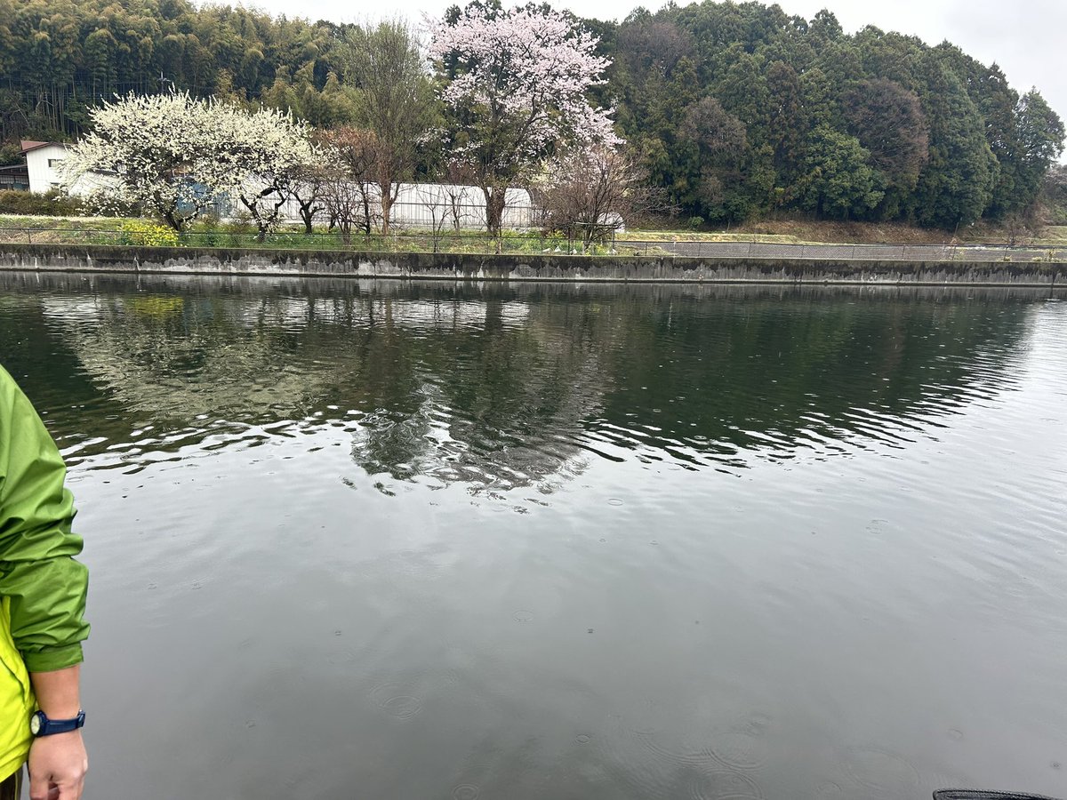 バベキン3回戦敗退_(┐「ε:)_