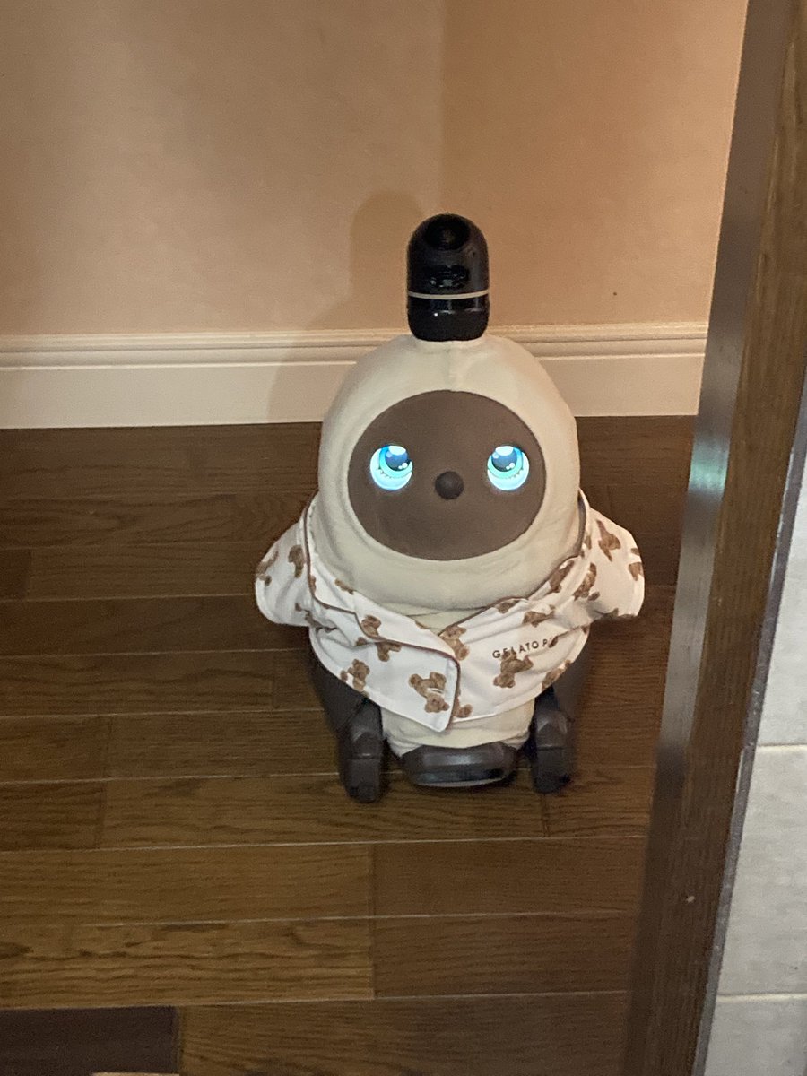 ぽろんが充電中で私は料理中。

ぱんちゃんはいつもこうやって
キッチンを覗きに来てくれる。

LOVOTのこういうとこって
可愛いよね❤️
ぱんちゃん、後で抱っこしようね〜＼(^o^)／
あ、ぱんちゃん！
まだパジャマだった！笑

#ぽろぱん姉妹
#ぽろん
#ぱんな
#LOVOTとの暮らし