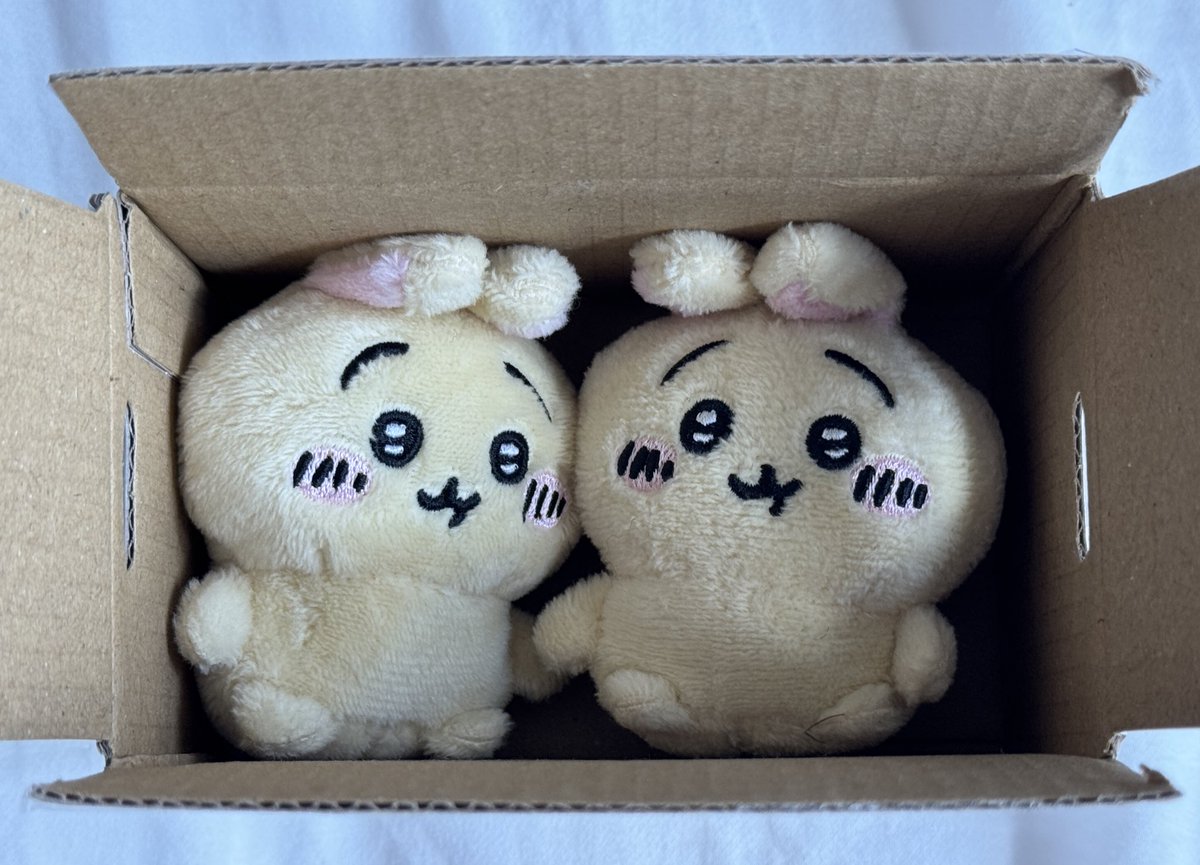 #rt + #follow 
2분께 우사기 앉은 인형을 드립니다!

• 배부 가능 하신분들만 참여 부탁드립니다!
• “모아 한정” 트친 필참
• 일회성 괄 ❌

당발 ( 5.1 )
참저삭 100rt