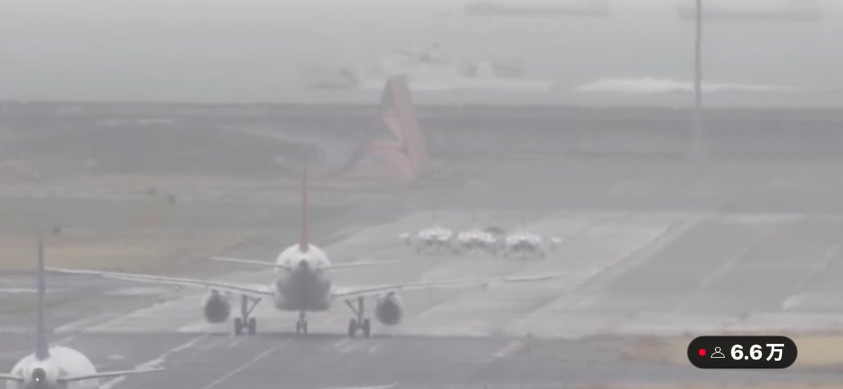 anko08181124's tweet photo. 万博のブルーインパレス
中止になりました。
ライブ見ていたら、
納得するよね
残念😢
#強皮症 #ブルーインパレス
 #大阪万博 https://t.co/UmXLW4vw1r