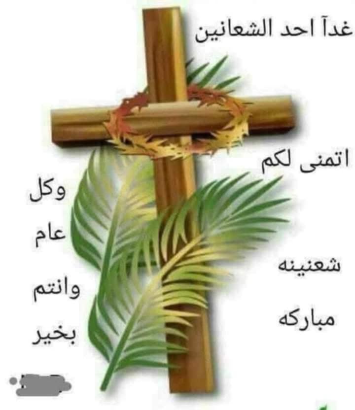 Edward Estafanous (@edwardgesen) on Twitter photo 