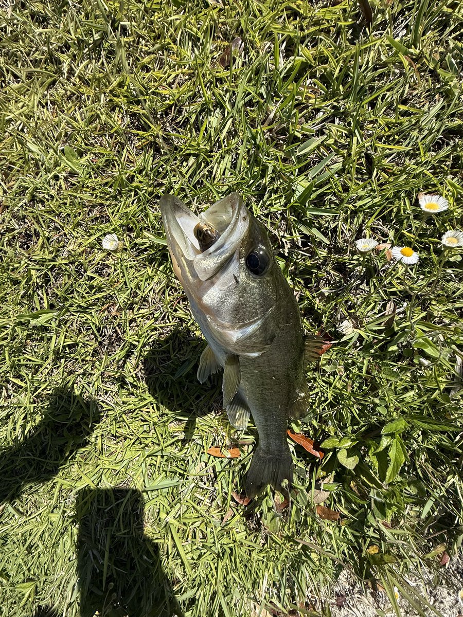 Vacillxte's tweet photo. 🎣 https://t.co/UJVIY8WuPA
