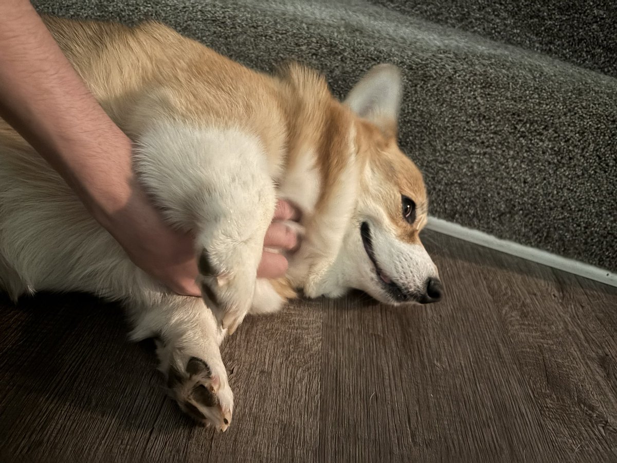 Going into Day 2 of Mattlanta Regionals @ 7-2. Feeling super confident in my deck choice. I think I’ll have to rebook my flight if I somehow manage to scrape top cut 🤷‍♂️