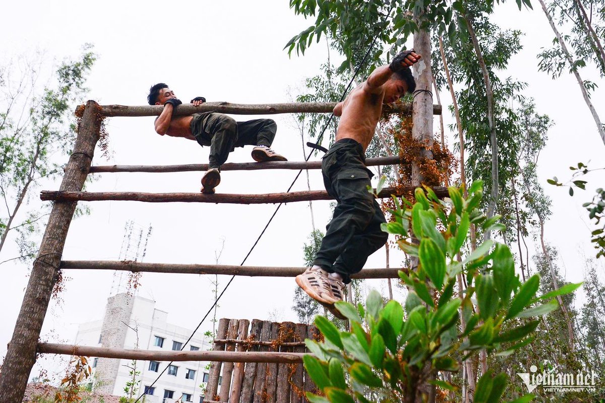 Hoang Phan tweet media