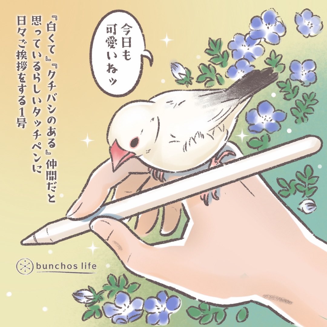 今日はイラストのみで。
いつもかいぬしが持っているタッチペン、お仲間認定されているらしく定期的にご挨拶しに来てくれる1号
これから開花時期を迎えるネモフィラをバックに✨
#文鳥 