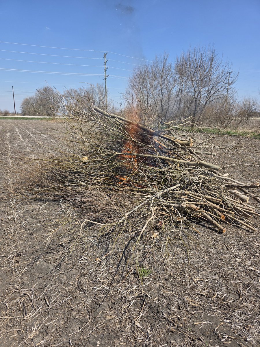 ELandmeier's tweet photo. That was a lot of brush in that 4 foot wide cut to open the field edge up.  Kicked my own ass out there. 😂 https://t.co/tAo7Tolcl1