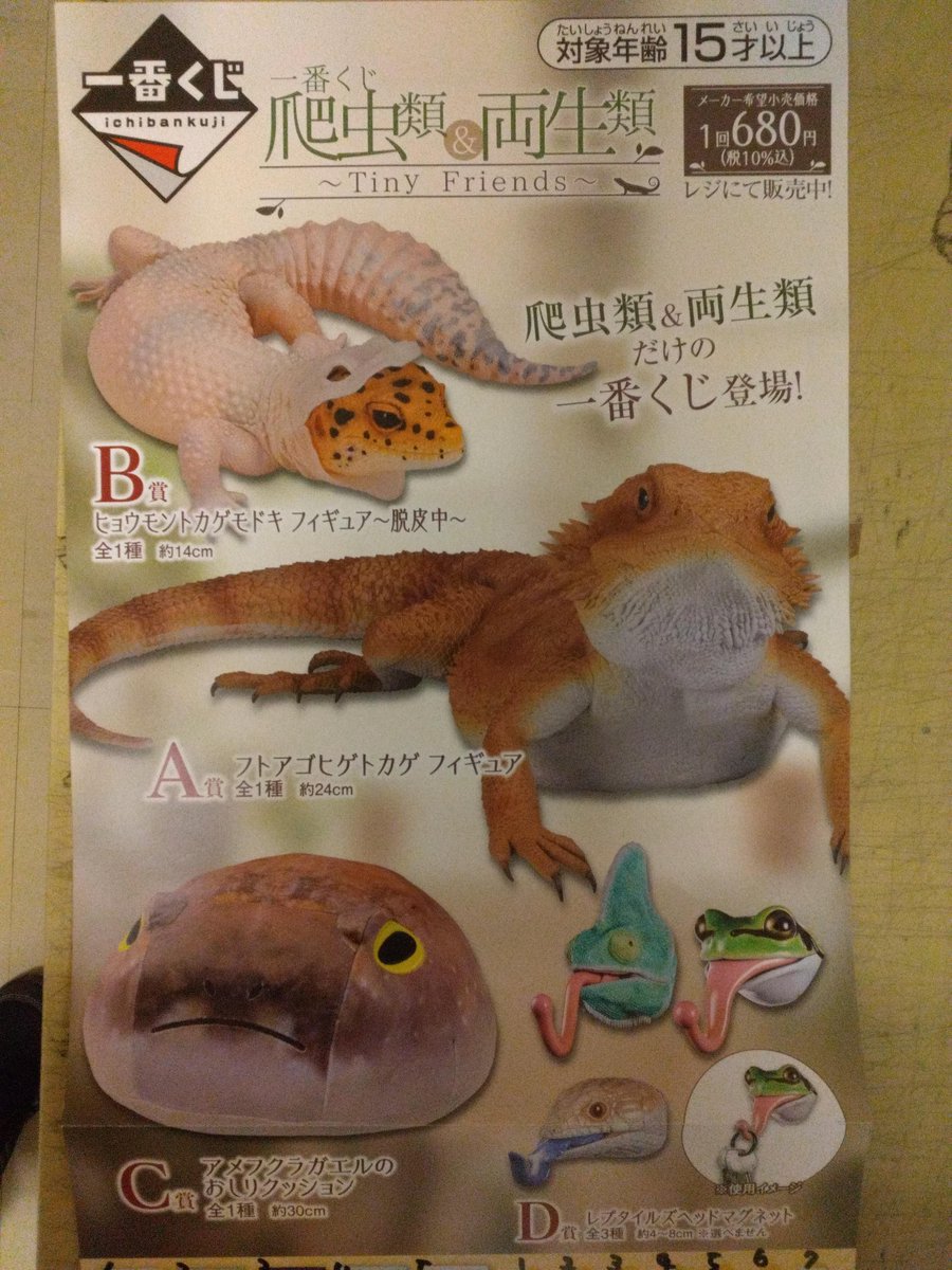 アメフクラガエルのおしりクッション 約30cm （一番くじ 爬虫類