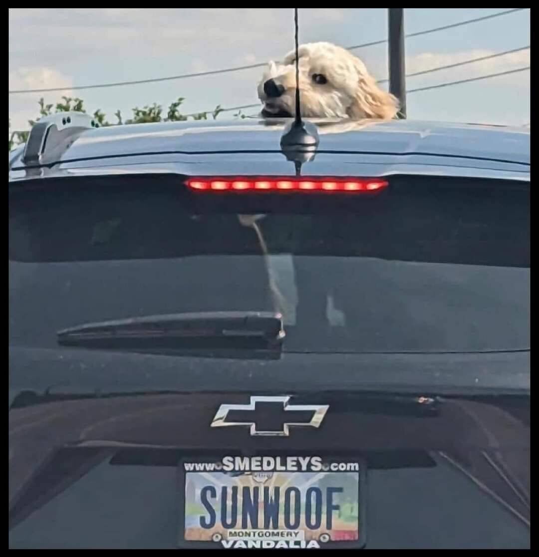 WholesomeMeme's tweet photo. https://t.co/xrp0ugtSif
