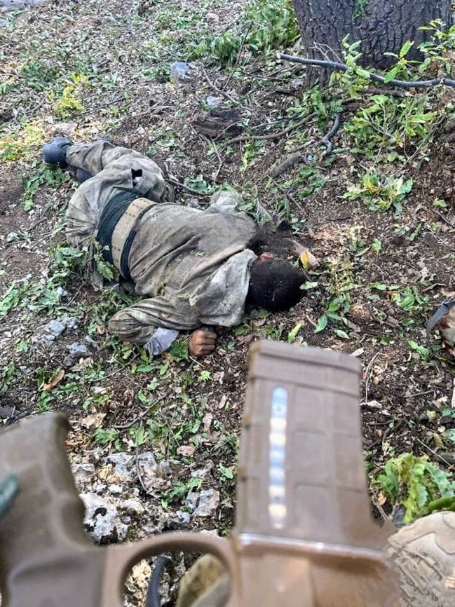 Çok güzel hareketler bunlar.