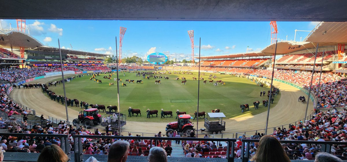 Cracking day in Sydney for the opening of the Royal Easter Show