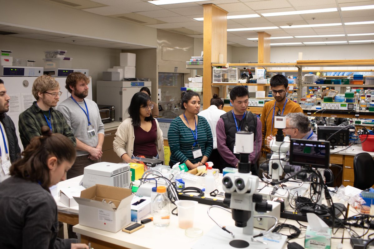 Made a lot of froggy friends and learned a ton! 🐸  <a href="/cshlxeno/">cshlxeno</a>