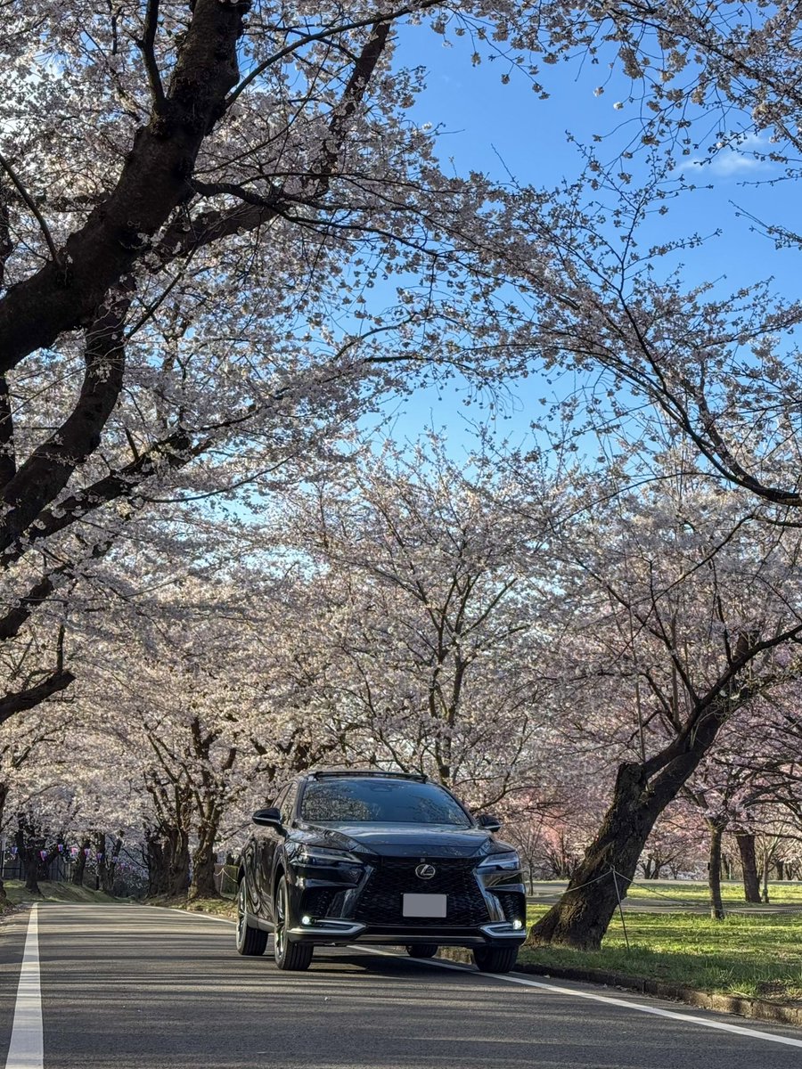 megu_k_'s tweet image. #レクサスと日本の風景 
#LEXUSRX 
#LEXUS