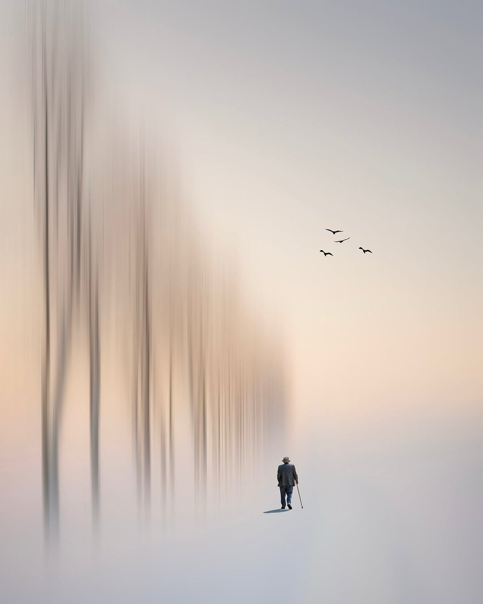 Happy Sunday dear friends 🤍
📷© niphisi - Dirk Fleischmann