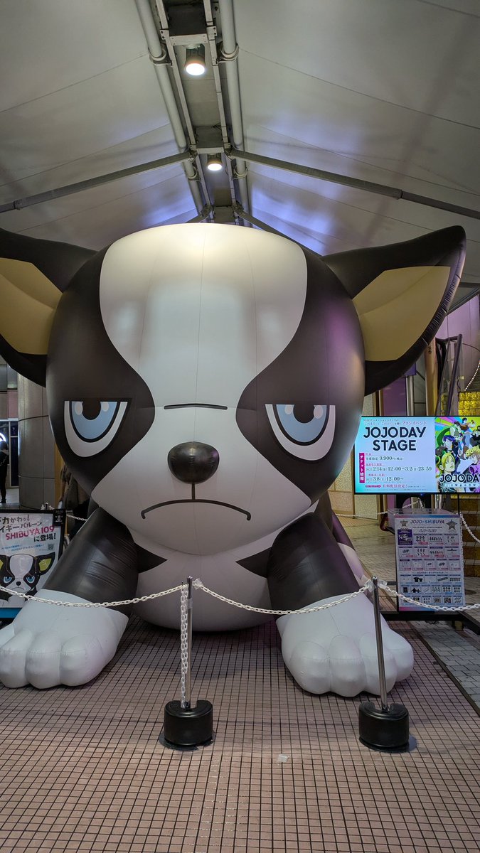 There were signs 💆‍♂️