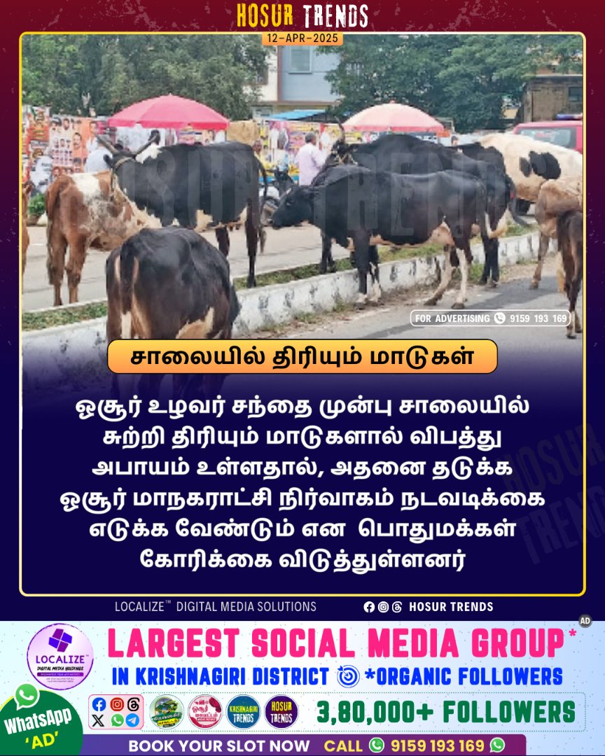 HosurDistrict's tweet photo. FOLLOW - @HosurDistrict
#CowMenace #AnimalMenace #Cow #Bull #Hosur #Krishnagiri #Attibele #Anekal #HosurRoad #Bagalur #Shoolagiri #Sarjapura #Bengaluru #Bangalore https://t.co/Hd7j5Zounh