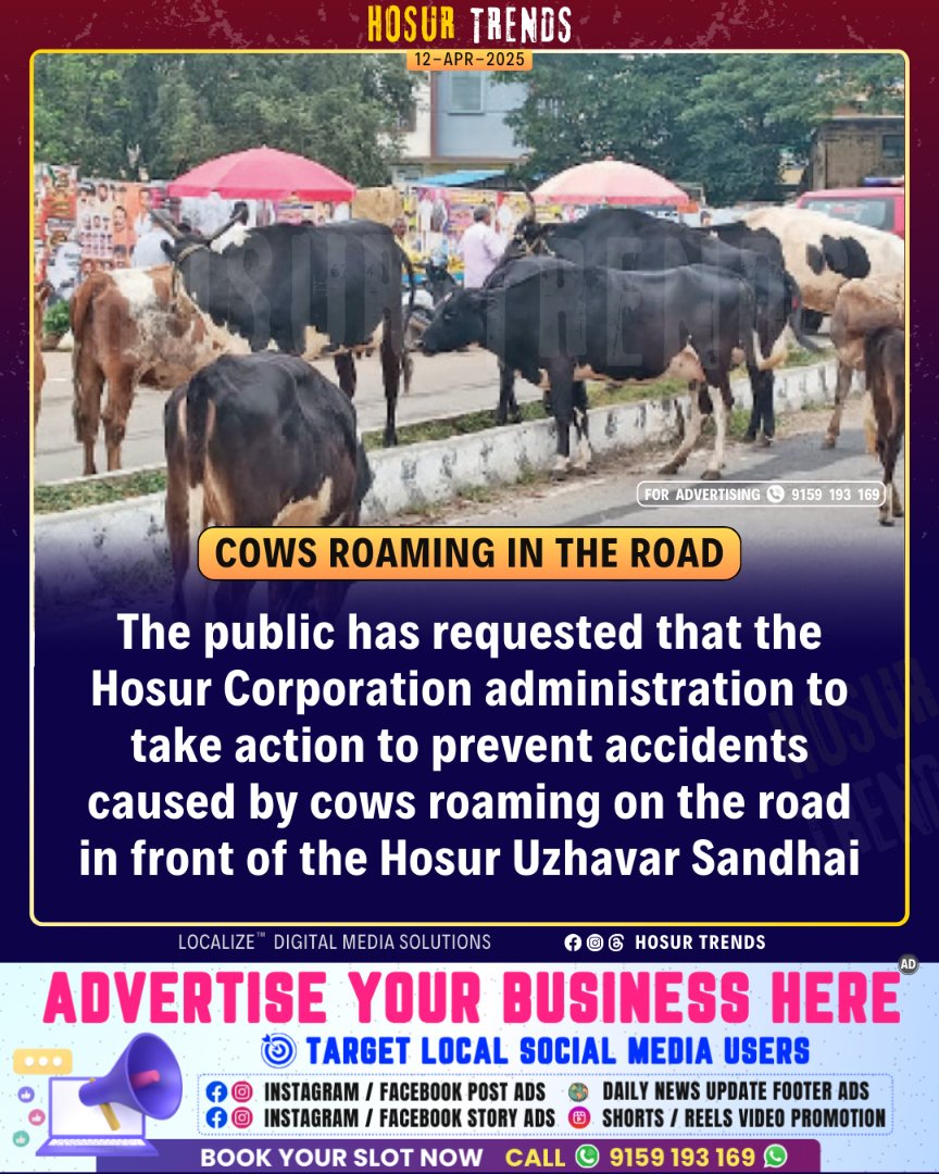 HosurDistrict's tweet photo. FOLLOW - @HosurDistrict
#CowMenace #AnimalMenace #Cow #Bull #Hosur #Krishnagiri #Attibele #Anekal #HosurRoad #Bagalur #Shoolagiri #Sarjapura #Bengaluru #Bangalore https://t.co/Hd7j5Zounh