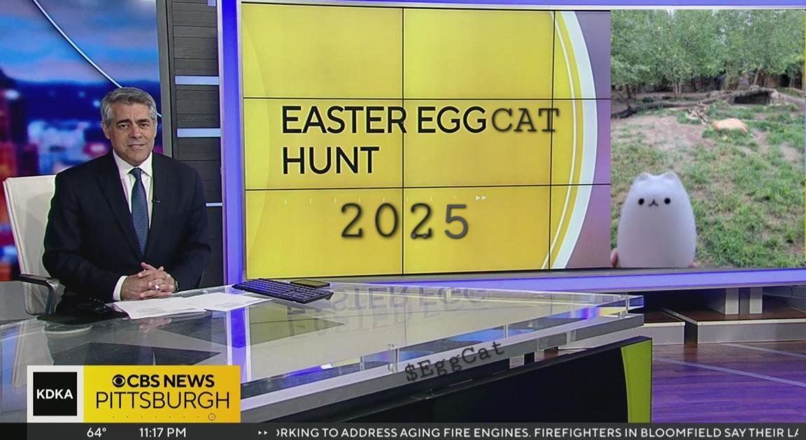 $EGGCAT tweet media