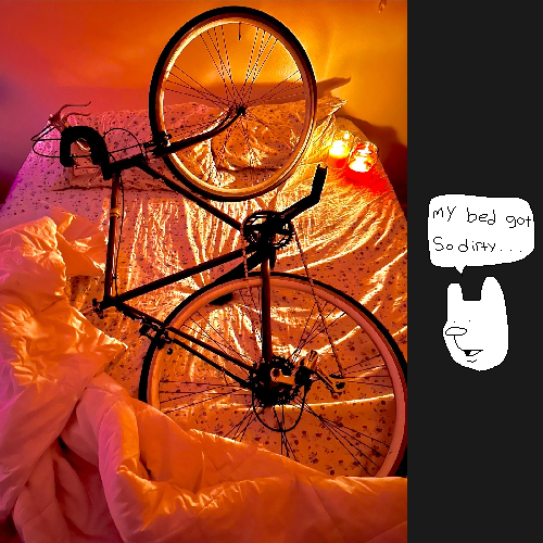My bike in my bed