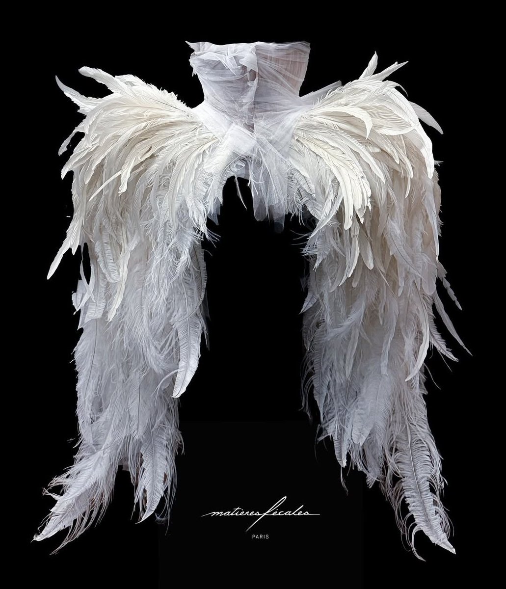 Matières Fécales for Lady Gaga's coachella.