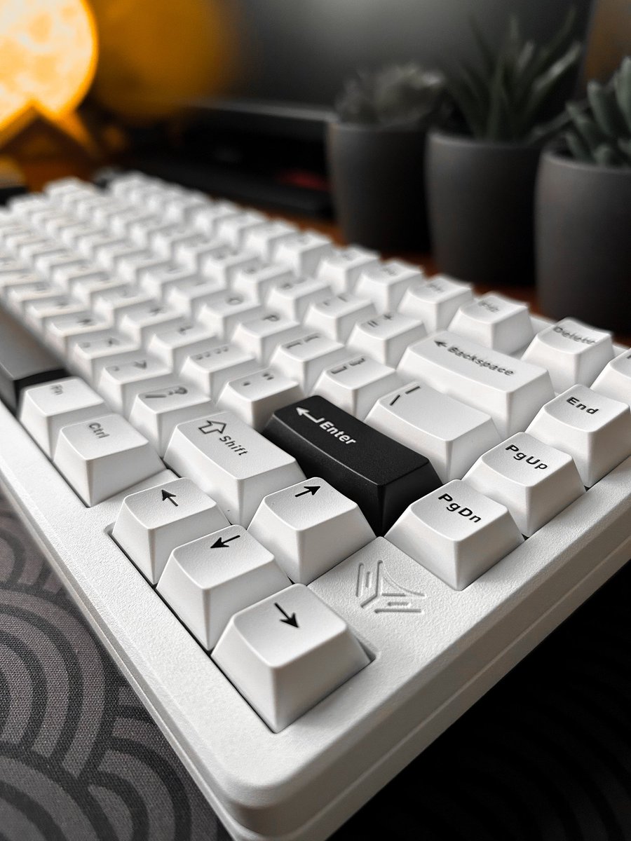 deviLpaO's tweet photo. Just got my first aluminum mechanical keyboard and wow—no way I’m going back to plastic. The build, the sound… insane straight out of the box. And it’s a beast at 2.9 kg. Keyboard #9 in the collection btw. https://t.co/hEBdlyp1Qo