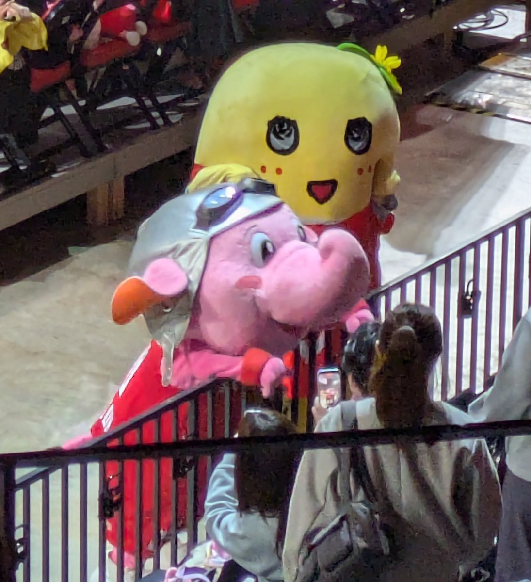 4yrsmile's tweet photo. @funassyi ふなちゃん、今日もよろしくなっしー
Go! Jets! https://t.co/iOhwKHc5IB