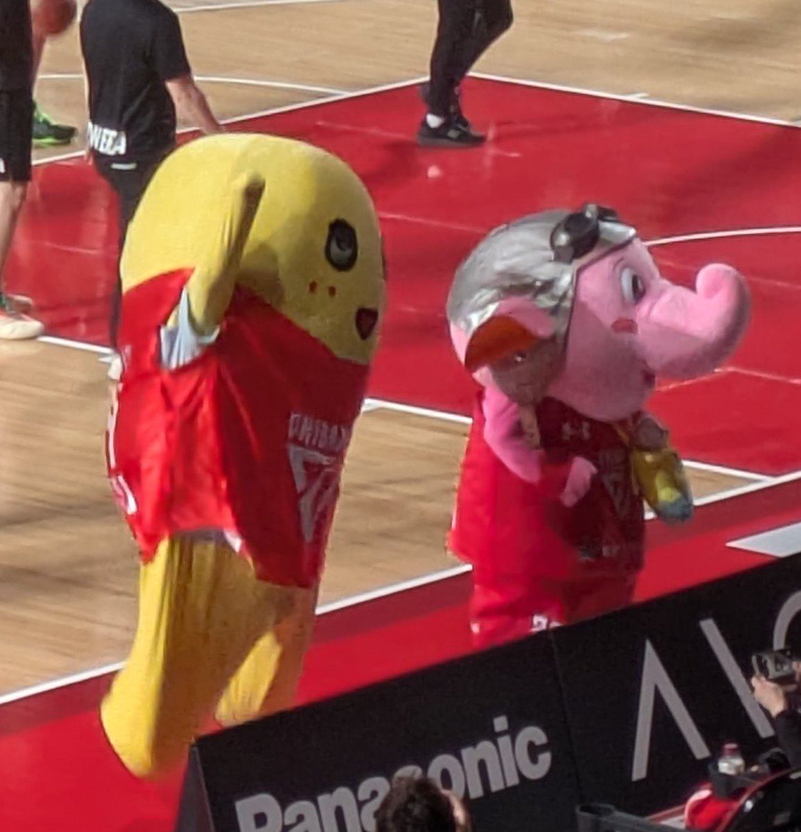 4yrsmile's tweet photo. @funassyi ふなちゃん、今日もよろしくなっしー
Go! Jets! https://t.co/iOhwKHc5IB