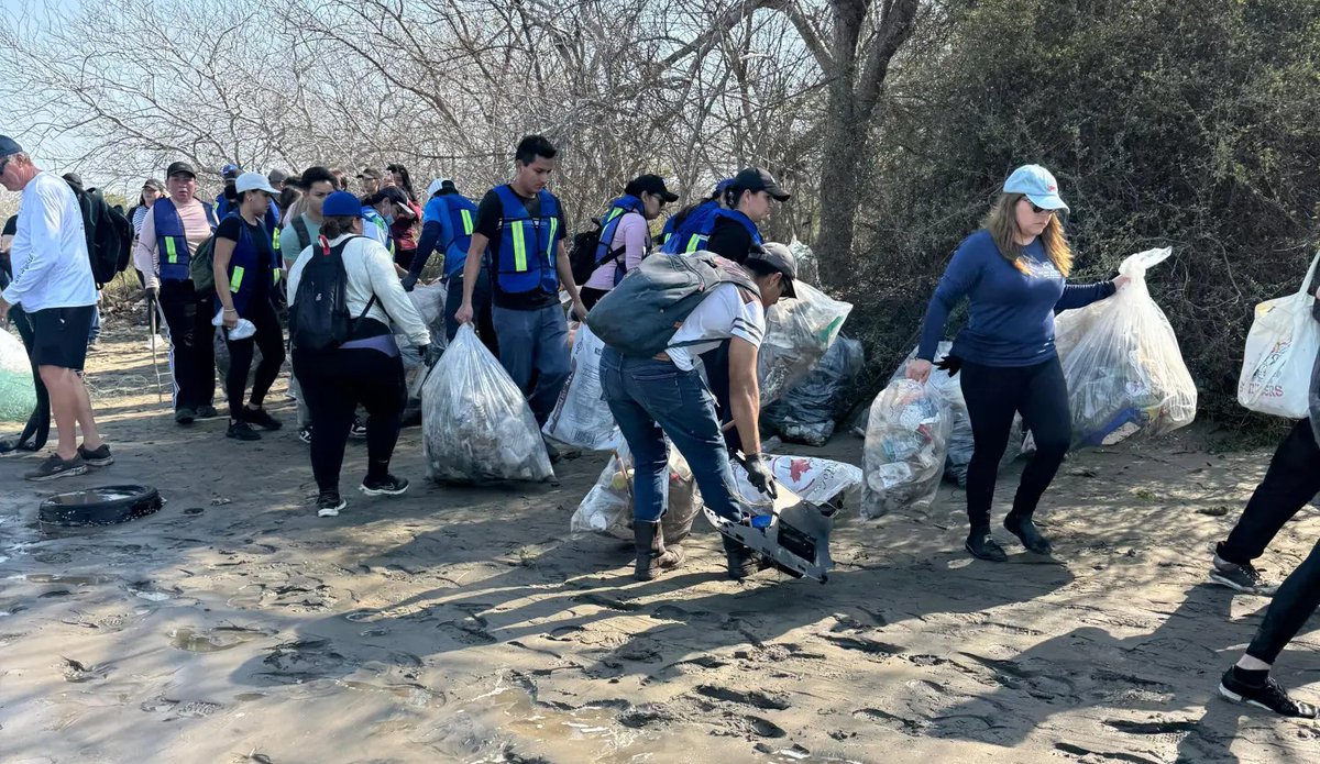 Cerca de una tonelada de plástico recolectó este sábado el colectivo <a href="/MazConCiencia/">MazConCiencia</a>, durante una jornada de limpieza de playas realizada en la Isla de la Piedra, en #Mazatlán
👉 url.noroeste.com.mx/eny74