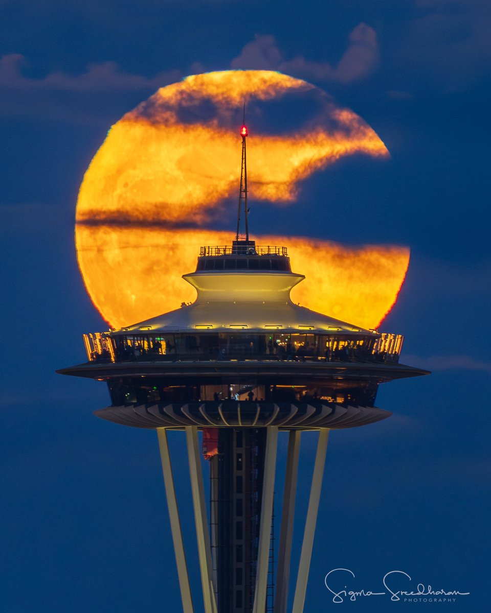 Sigma Sreedharan tweet media