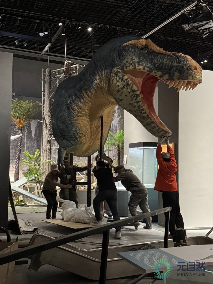 T-rex head, Everything is going!