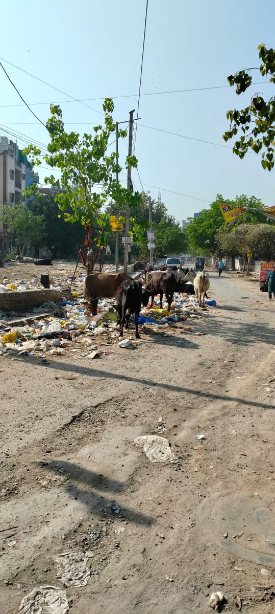 यह अभी का दृश्य है सभी सम्मानित लोगों से अनुरोध है कृपया करबाही करे हम आपका दिल्ली को स्वच्छ बनाने के लिए सहयोग करना चाहते है लेकिन आप लोगो का ध्यान छोटे लोगों के ट्वीट पर जाता ही नहीं है कृपया कर इस ओर ध्यान दे आपकी अति कृपा होगी 
इतना ट्वीट के बाद भी किसी का कोई उत्तर नहीं 😢