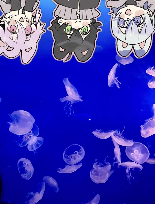 クラゲだよえどさんさく 