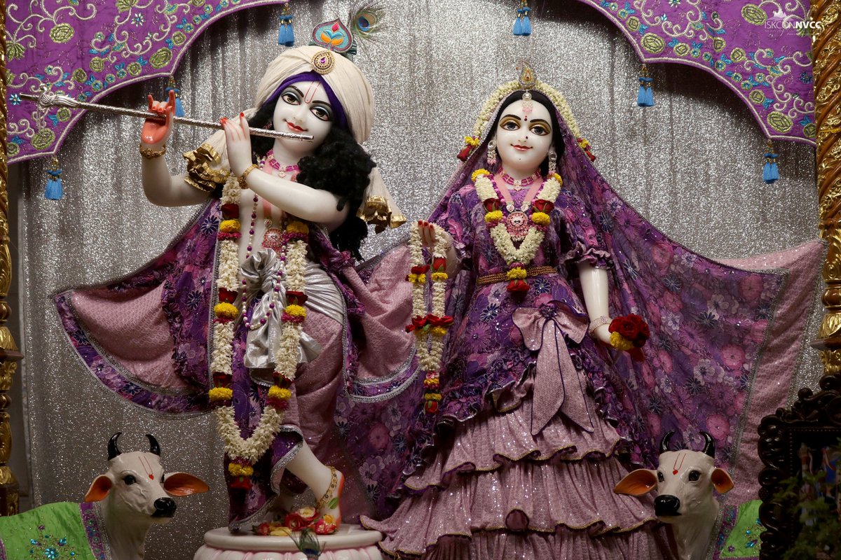 ISKCONPune's tweet photo. 🌷Mangal Arati Darshan🌷🗓13/04/2025🙏🚩@ISKCONNVCCPune🚩
.
.
#ISKCON #ISKCONNVCC #ISKCONNVCCPune #ISKCONPune
#13thapril #13thapril2025 #Sunday #Vrindavan
#Harinaamsankirtan #Radheshyamdas #Radheradhe
#Sankirtan #Kirtan #Mayapur #Prabhupada #iskconmandir
#GVE #GovardhanEcoVillage https://t.co/xGHW0quo9f
