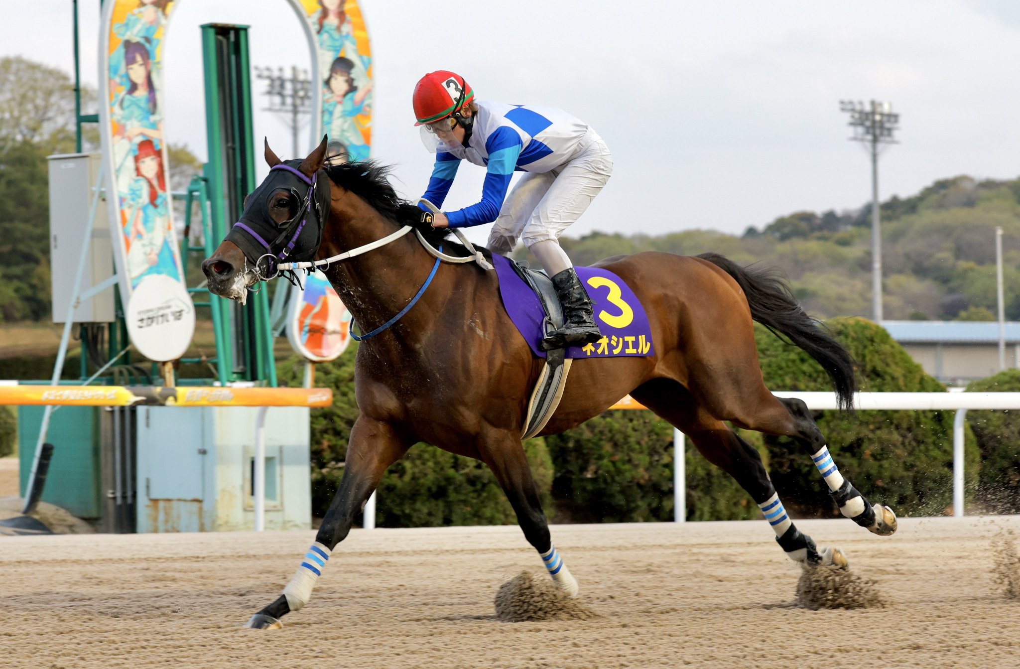競馬 THE LINK 絶対連動 発見！永遠に続くJRA馬番リンク 競馬 THE LINK 絶対連動 発見！永遠に続くJRA馬番リンク 本