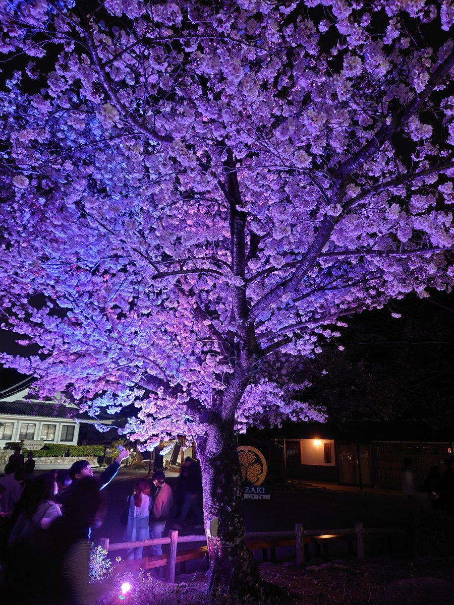GaMe83612101's tweet photo. この前夜桜行ってきました😉
満開でめっちゃ綺麗だったよ✨
やっぱ季節を感じるもの見に行くのはいいね🌸 https://t.co/fbvBewBUU6