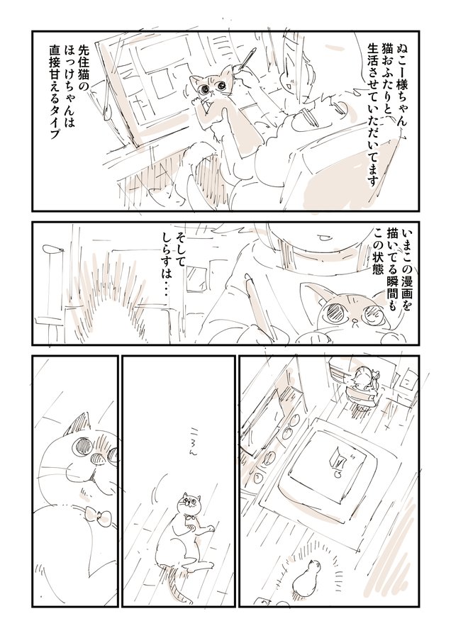 みんな猫吸いしたくなるよね!1/4 