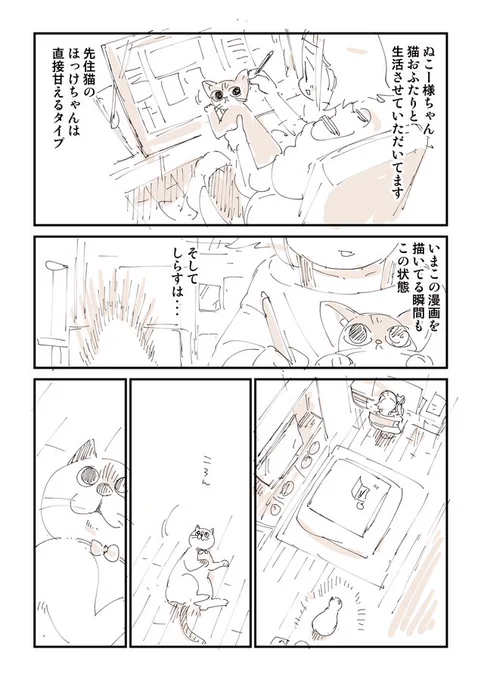 みんな猫吸いしたくなるよね!1/4 