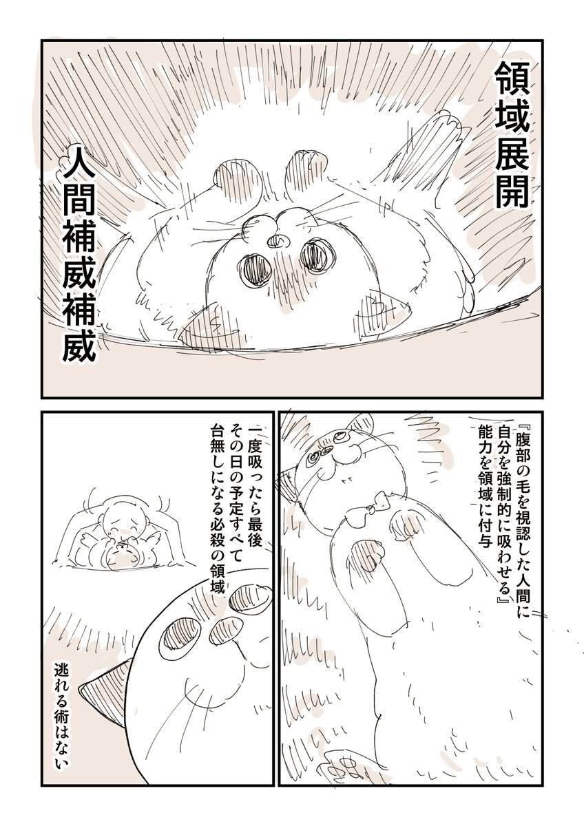 みんな猫吸いしたくなるよね!2/4 