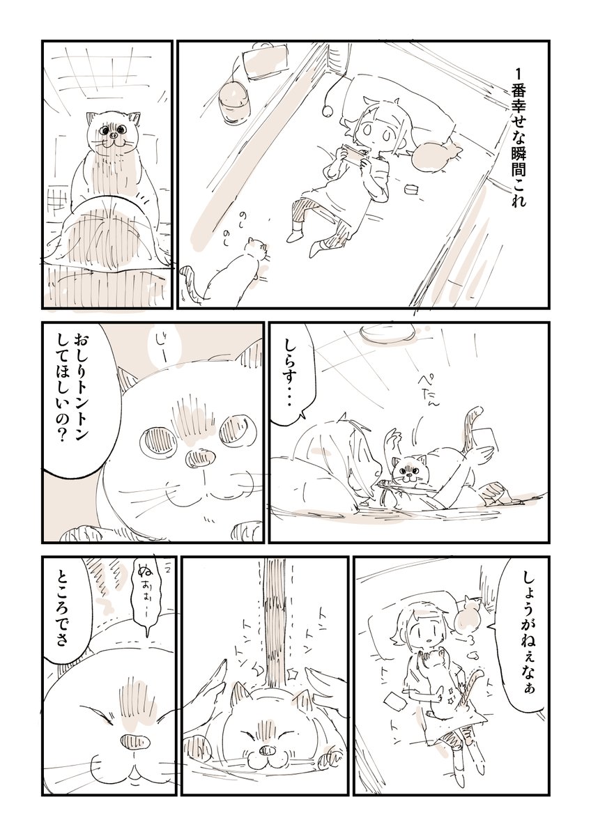 みんな猫吸いしたくなるよね!3/4 