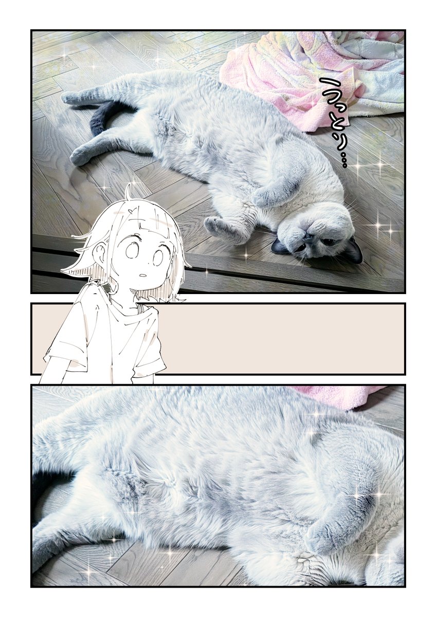 みんな猫吸いしたくなるよね!4/4 