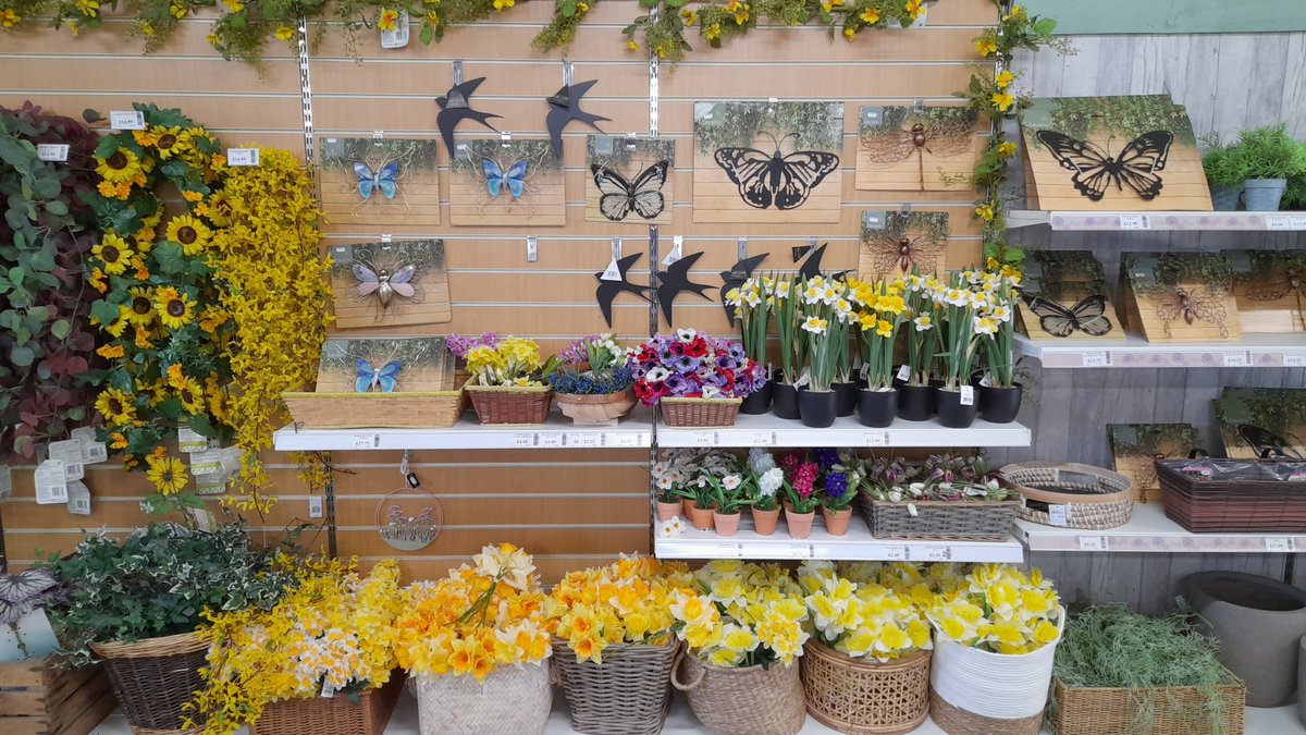 Decorate the home this Easter - we've a great selection of Easter and Spring decorations to bring your home to life.